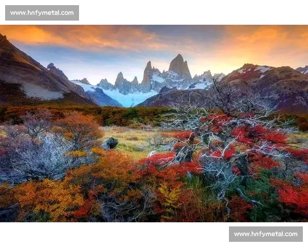 海口摄影大赛邀请全球摄影爱好者捕捉美丽瞬间展示创意与视觉艺术